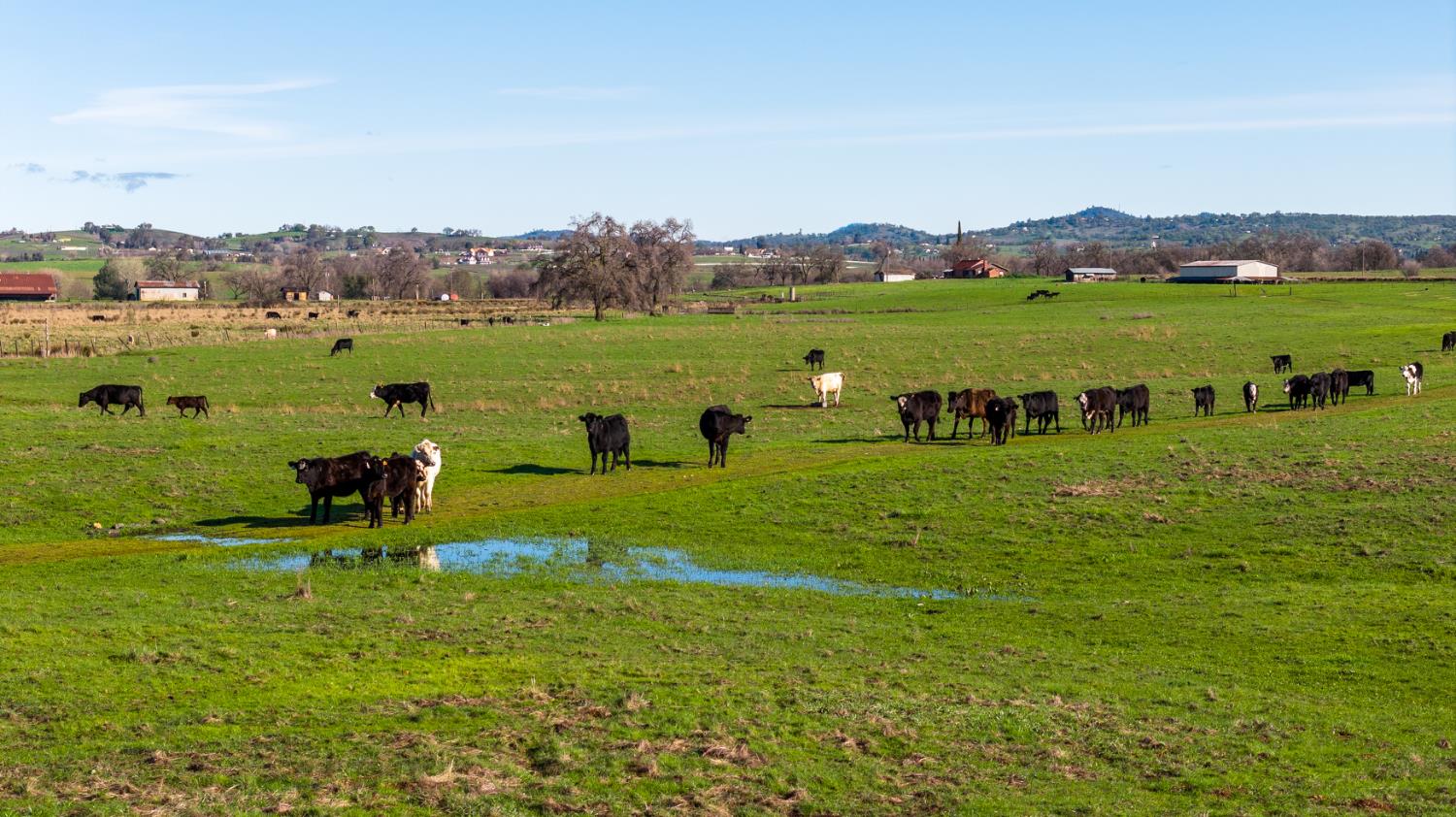 4873 Gladding Road Lincoln, CA 95648 - Photo 10 of 37