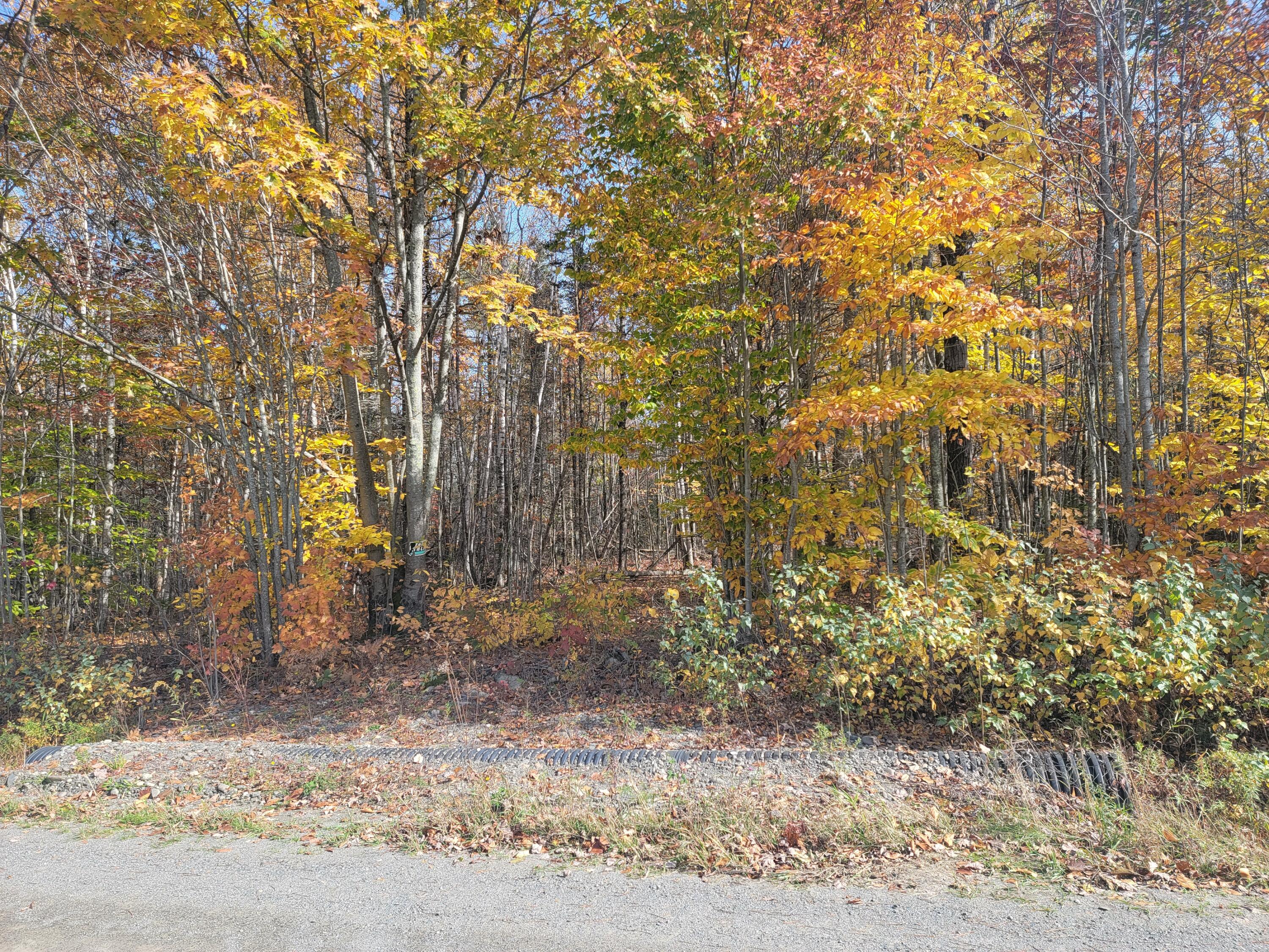 Lot 1 Harris Road Charleston, ME 04422 - Photo 4 of 8 20221017_115318