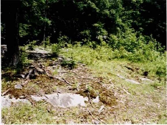 0 Deer Run Road East Thetford, VT 05074 - Photo 1 of 1 Gallery Image 1