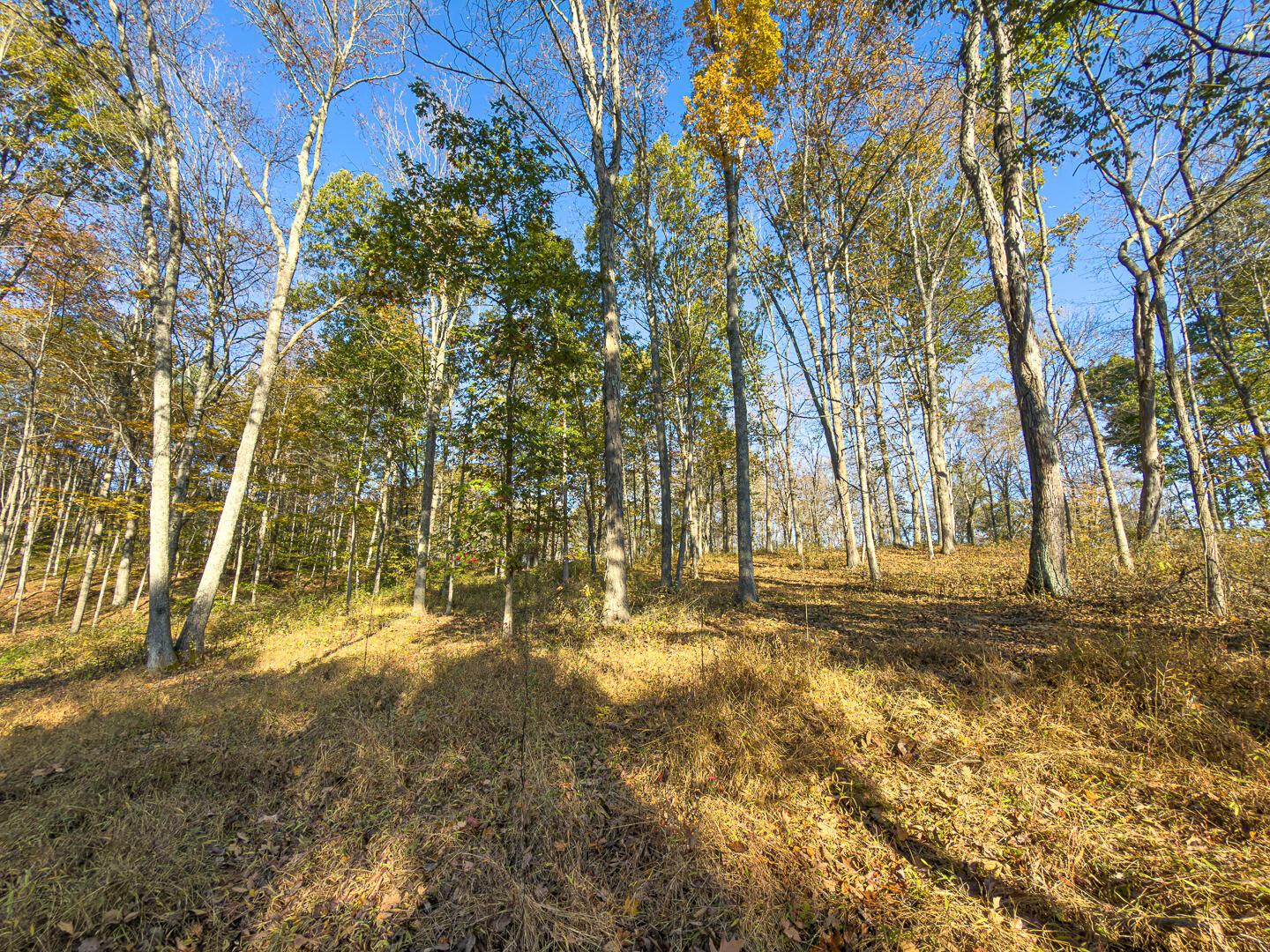 0 Chase Road Albany, OH 45710 - Photo 20 of 37 Chase Rd-20