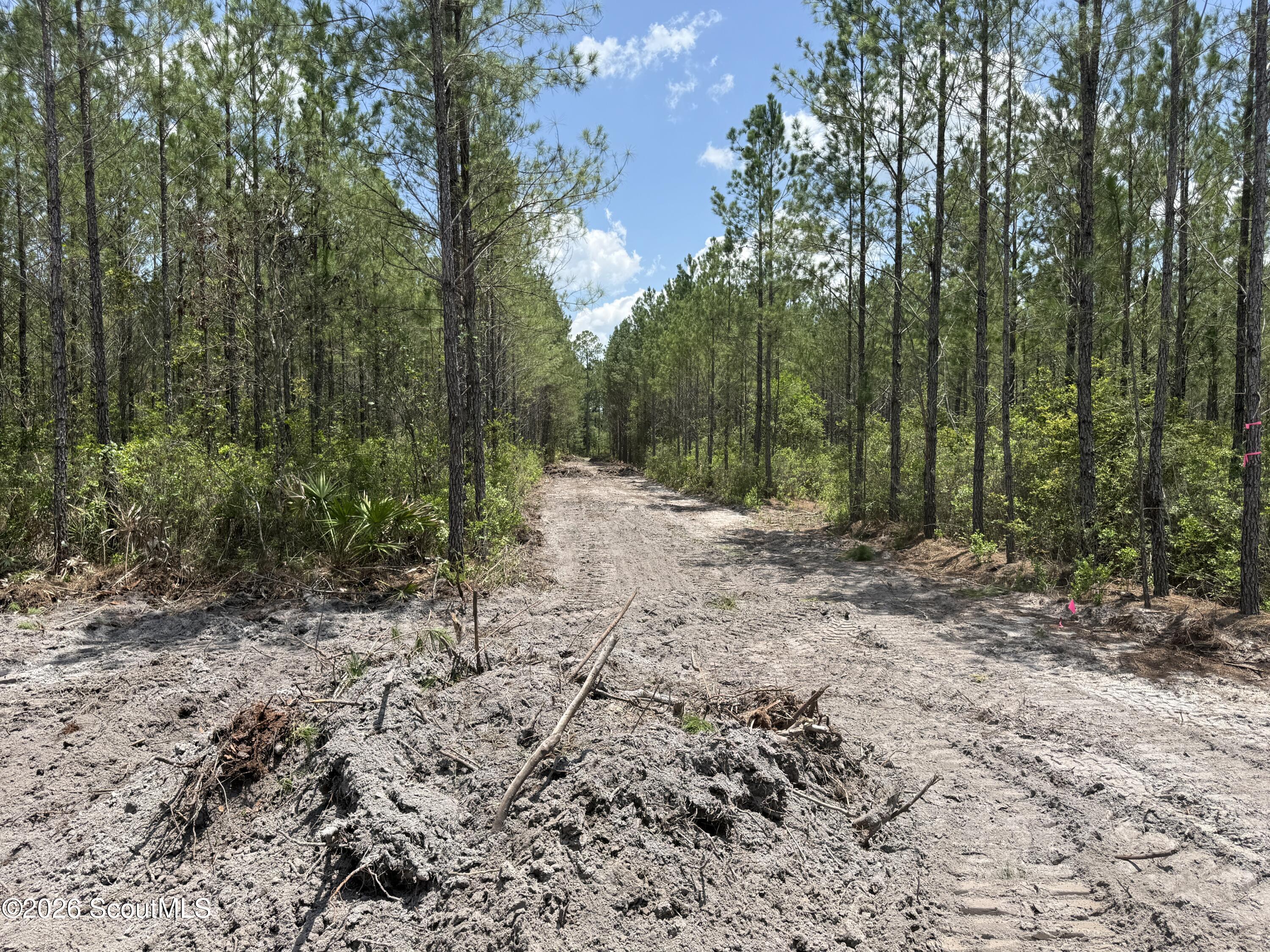 Lot 9 Corbitt Road, Unit LOT 9 Manor, GA 31550 - Photo 8 of 11 IMG_8056