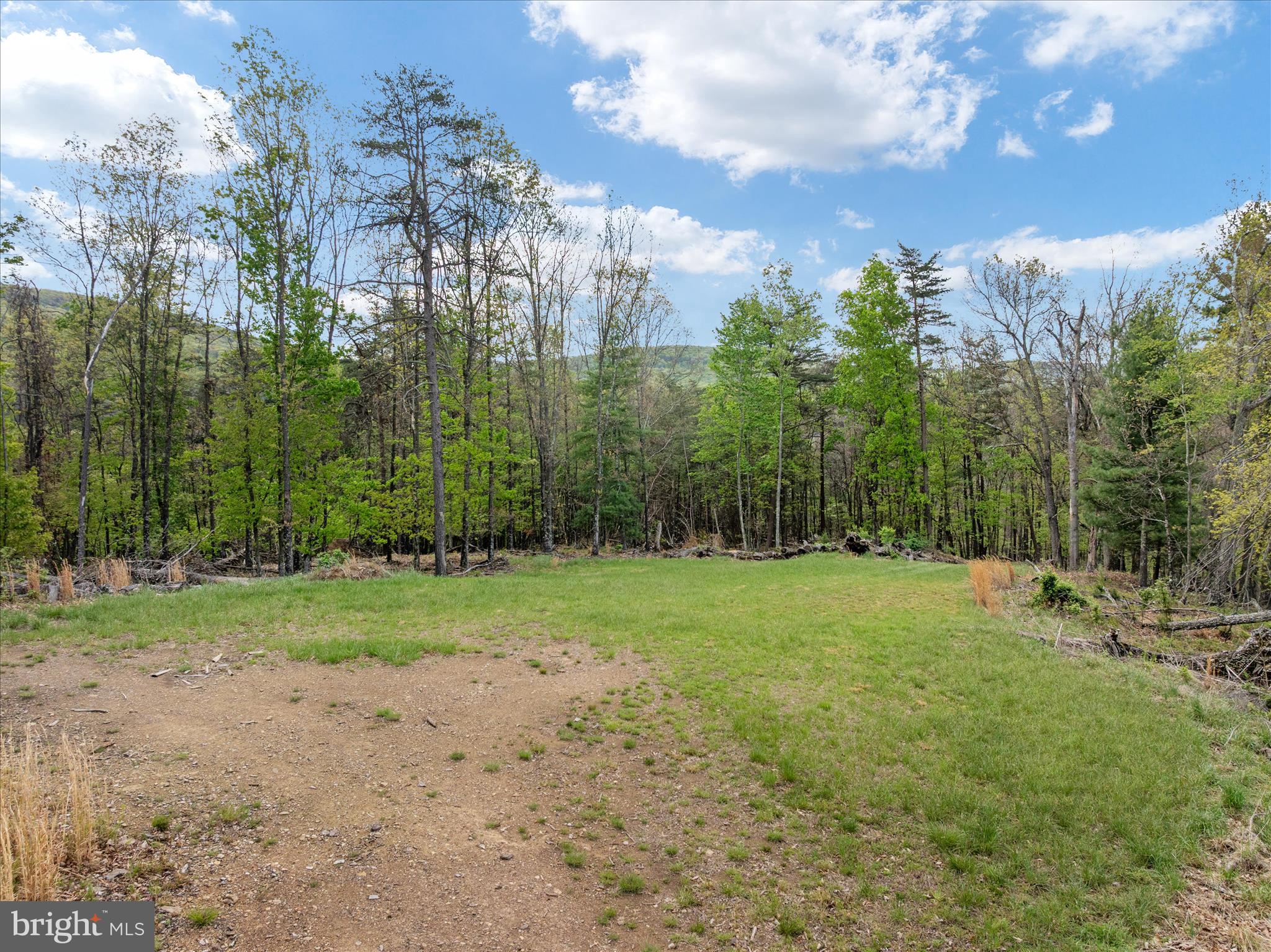 272 Buster Brown Drive Rio, WV 26755 - Photo 96 of 113