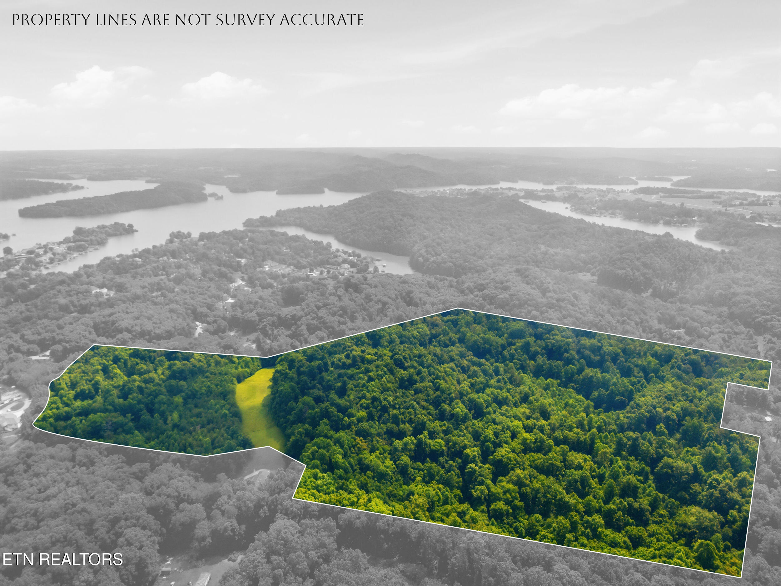 Mayo Road Loudon, TN 37774 - Photo 11 of 13 3688_mayo_rd_e_008-lines