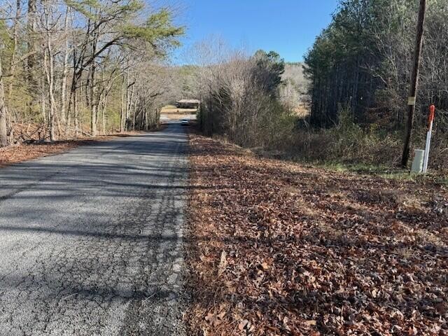 8 County Road 751 Valley Head, AL 35989 - Photo 6 of 7 a view of road with trees