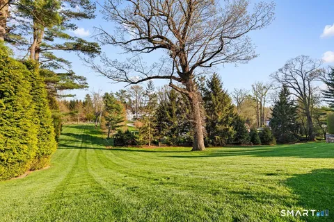a view of yard with green space