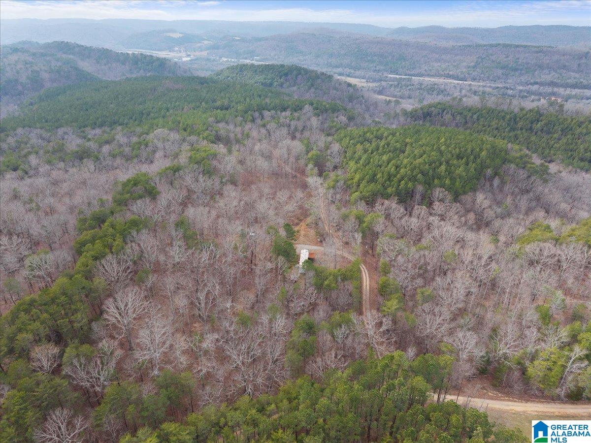1484 Waid Road Oneonta, AL 35121 - Photo 28 of 33