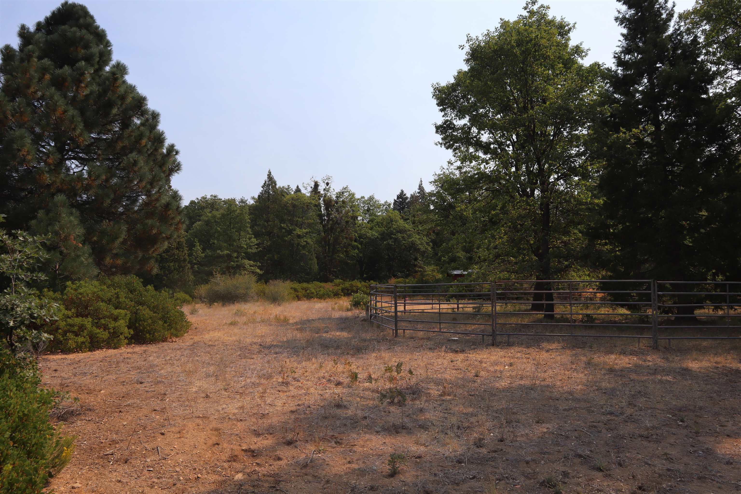 0 Old McCloud Road Mount Shasta, CA 96067 - Photo 16 of 18 Gallery Image 16