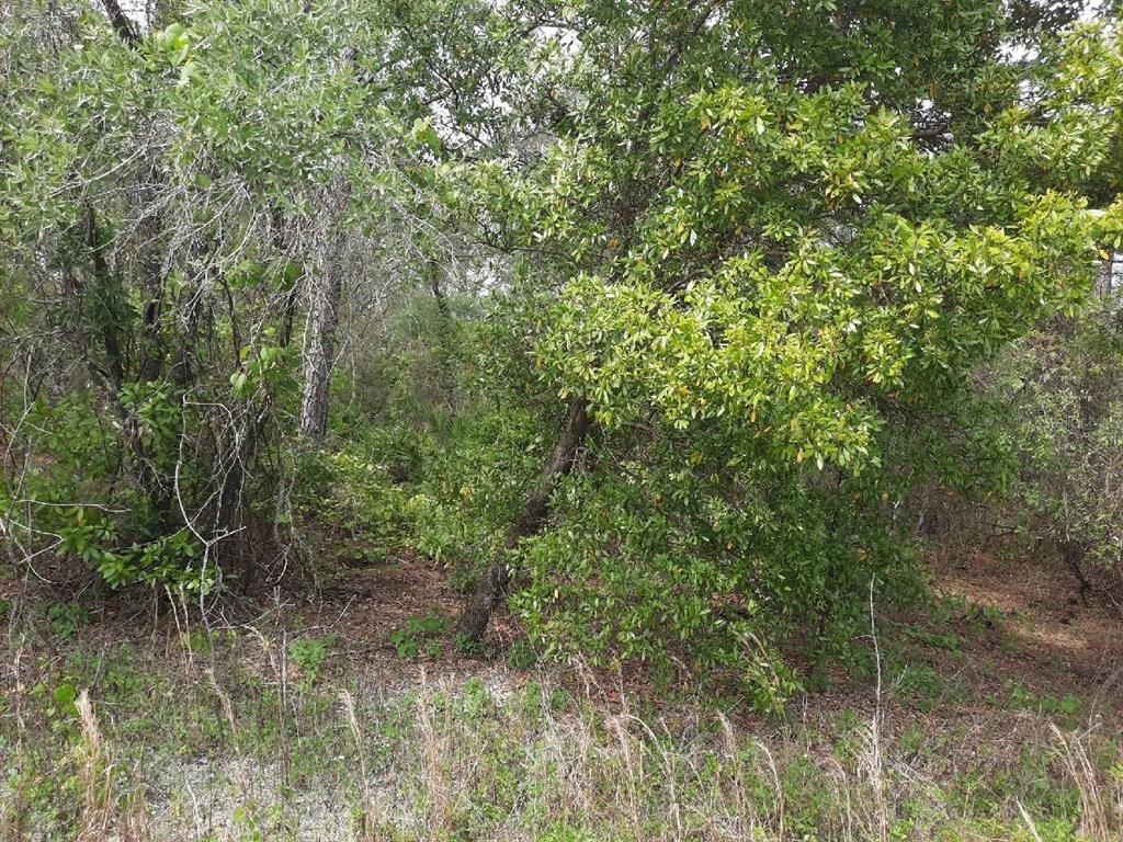 Southwest 136th Ct Rd