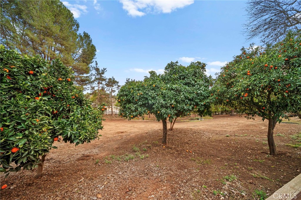 3644 Palomar Drive Fallbrook, CA 92028 - Photo 60 of 65