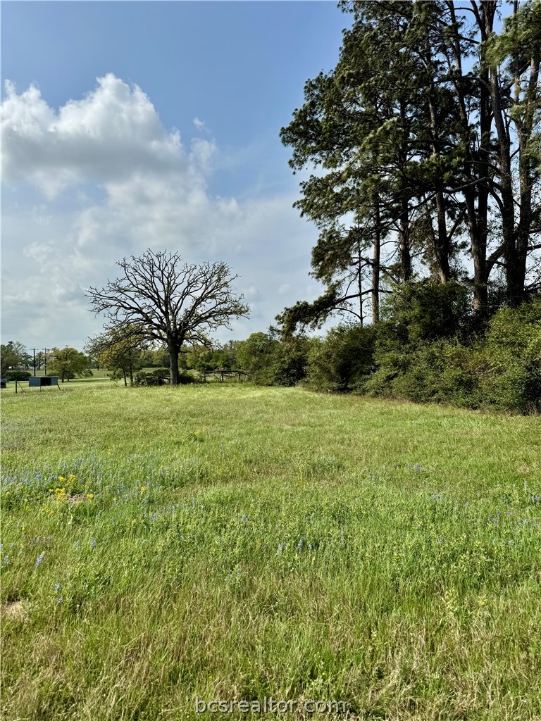 15420 Arhopulos Road College Station, TX 77845 - Photo 11 of 42