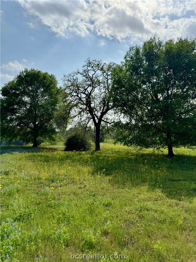 15420 Arhopulos Road College Station, TX 77845 - Photo 12 of 42