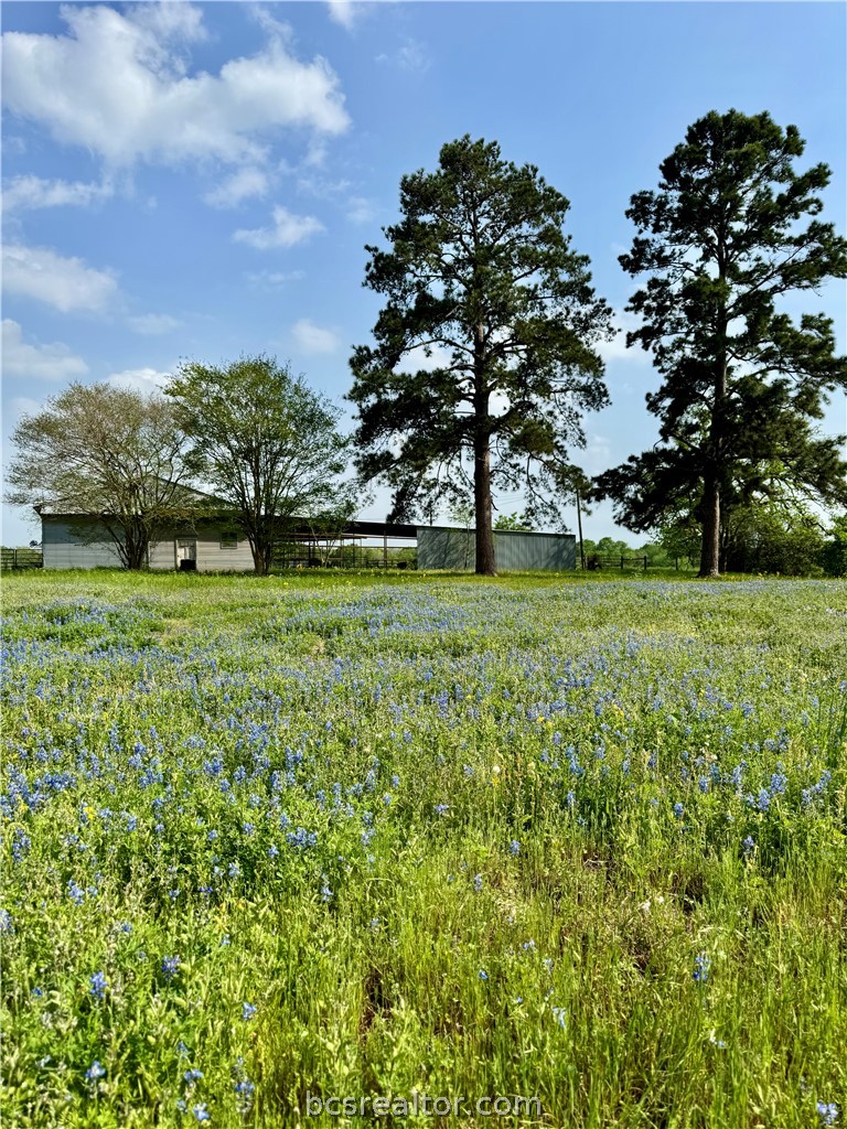 15420 Arhopulos Road College Station, TX 77845 - Photo 13 of 42