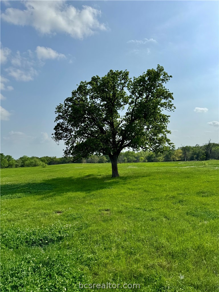 15420 Arhopulos Road College Station, TX 77845 - Photo 16 of 42