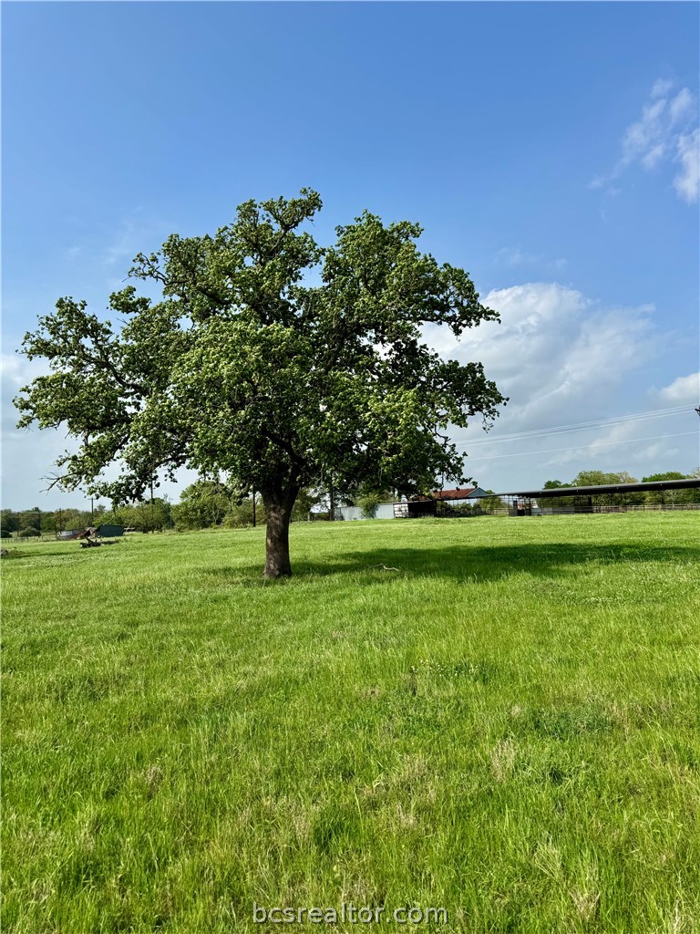 15420 Arhopulos Road College Station, TX 77845 - Photo 18 of 42