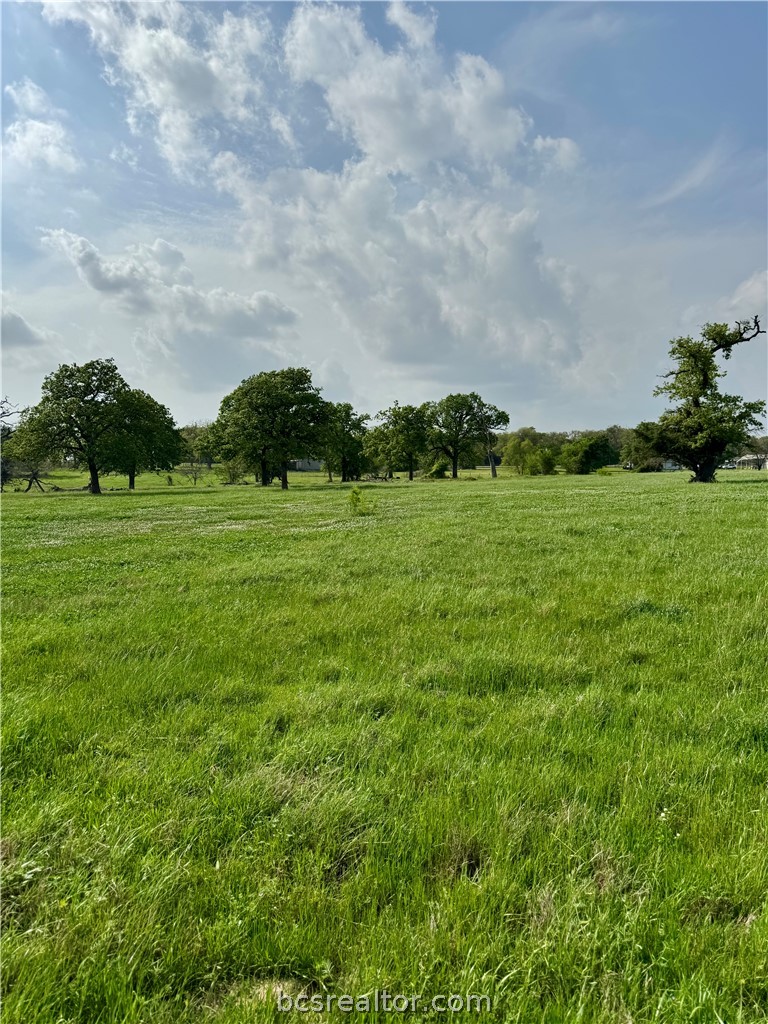 15420 Arhopulos Road College Station, TX 77845 - Photo 19 of 42