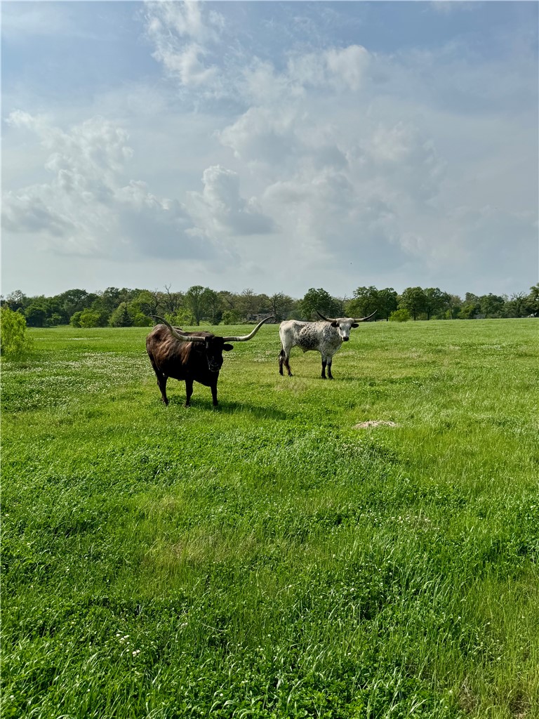 15420 Arhopulos Road College Station, TX 77845 - Photo 21 of 42