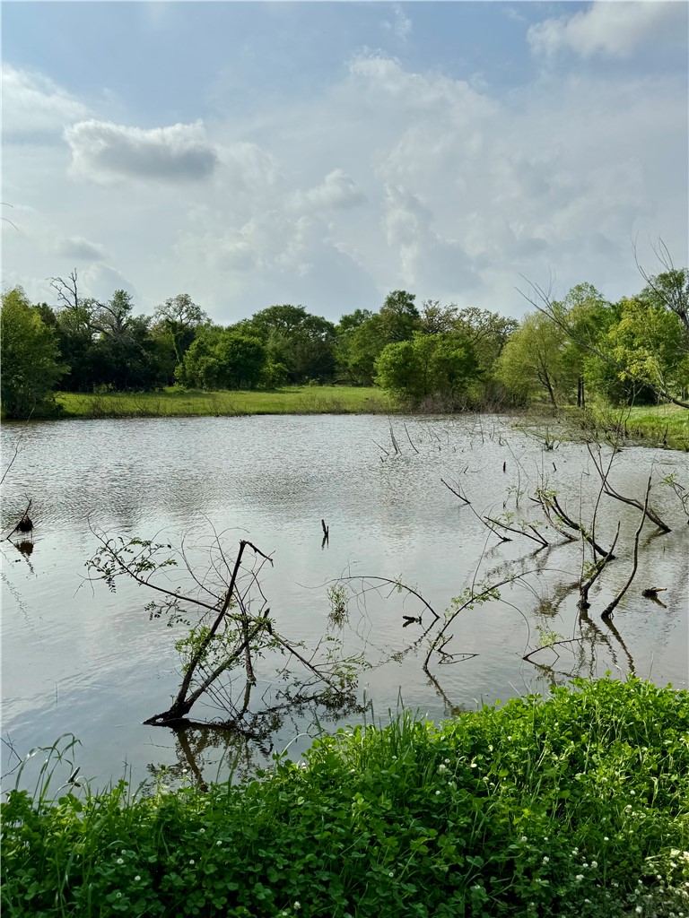 15420 Arhopulos Road College Station, TX 77845 - Photo 23 of 42