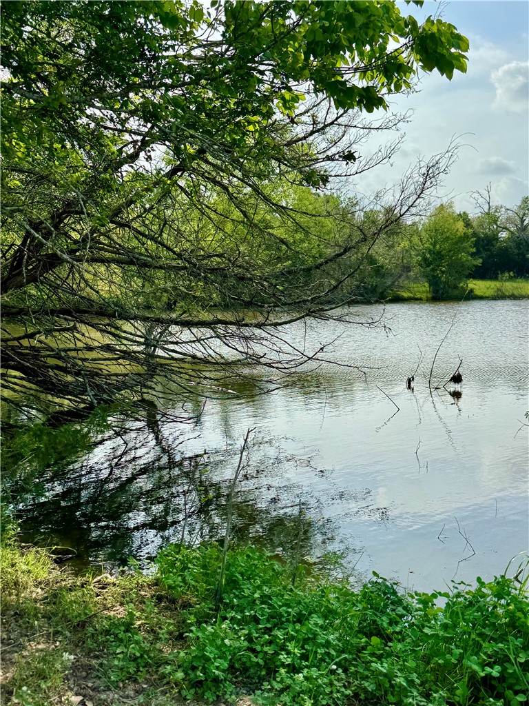 15420 Arhopulos Road College Station, TX 77845 - Photo 24 of 42