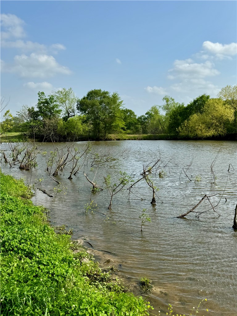 15420 Arhopulos Road College Station, TX 77845 - Photo 25 of 42