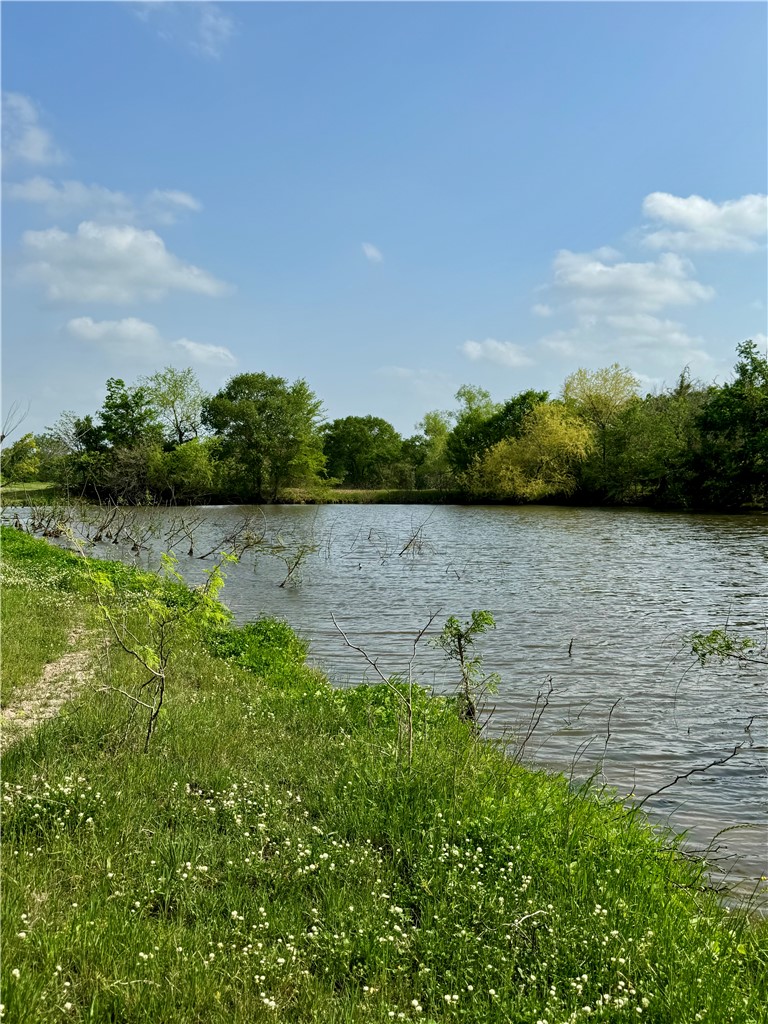 15420 Arhopulos Road College Station, TX 77845 - Photo 27 of 42