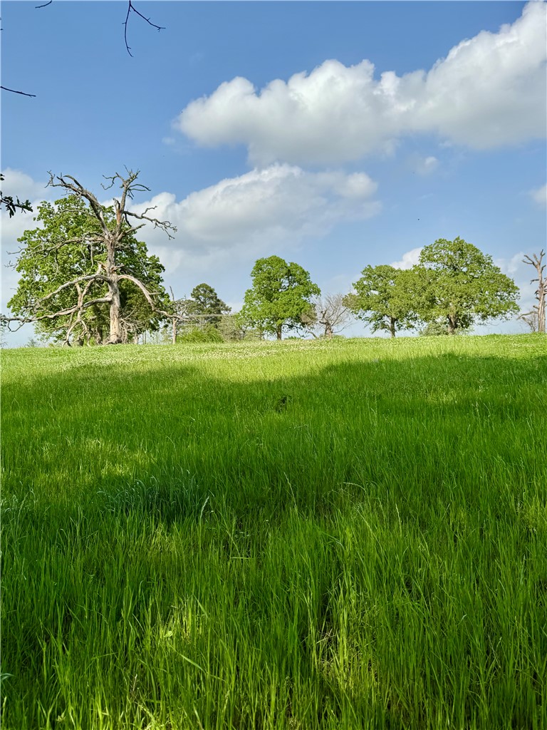 15420 Arhopulos Road College Station, TX 77845 - Photo 28 of 42
