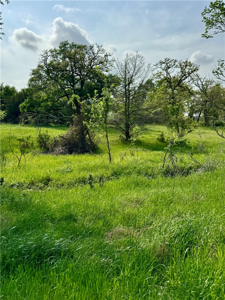 15420 Arhopulos Road College Station, TX 77845 - Photo 29 of 42