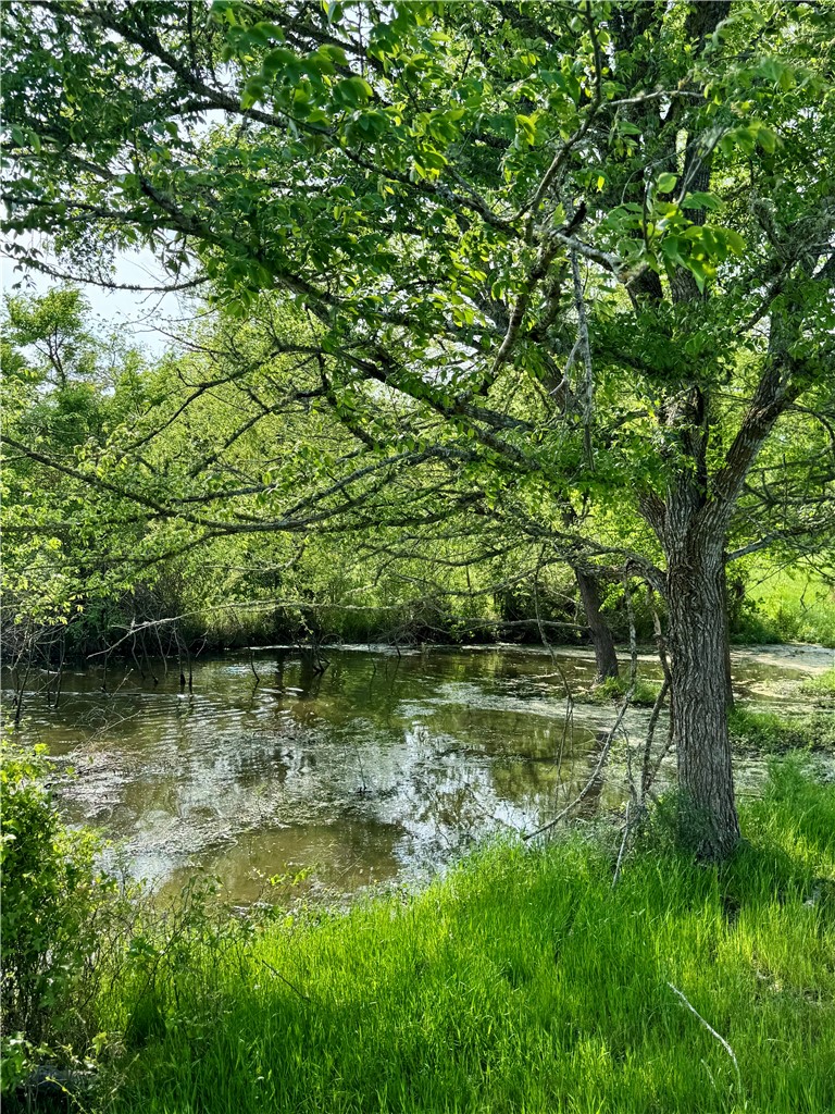 15420 Arhopulos Road College Station, TX 77845 - Photo 30 of 42