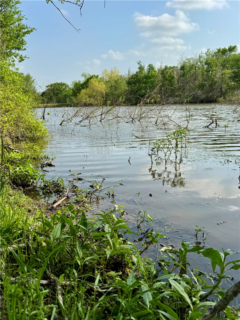 15420 Arhopulos Road College Station, TX 77845 - Photo 31 of 42