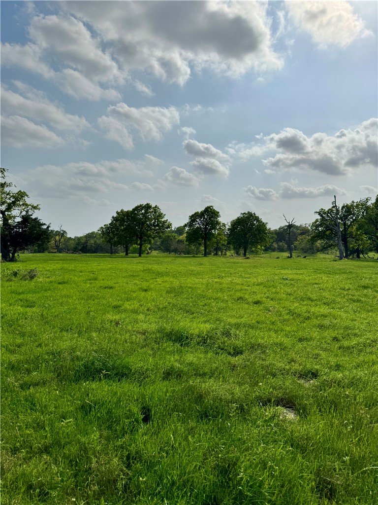 15420 Arhopulos Road College Station, TX 77845 - Photo 33 of 42