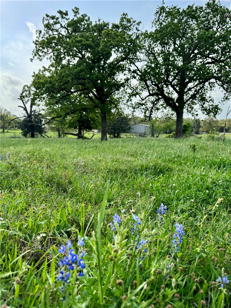 15420 Arhopulos Road College Station, TX 77845 - Photo 35 of 42