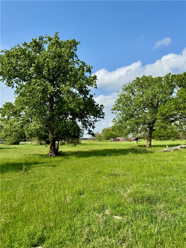 15420 Arhopulos Road College Station, TX 77845 - Photo 37 of 42