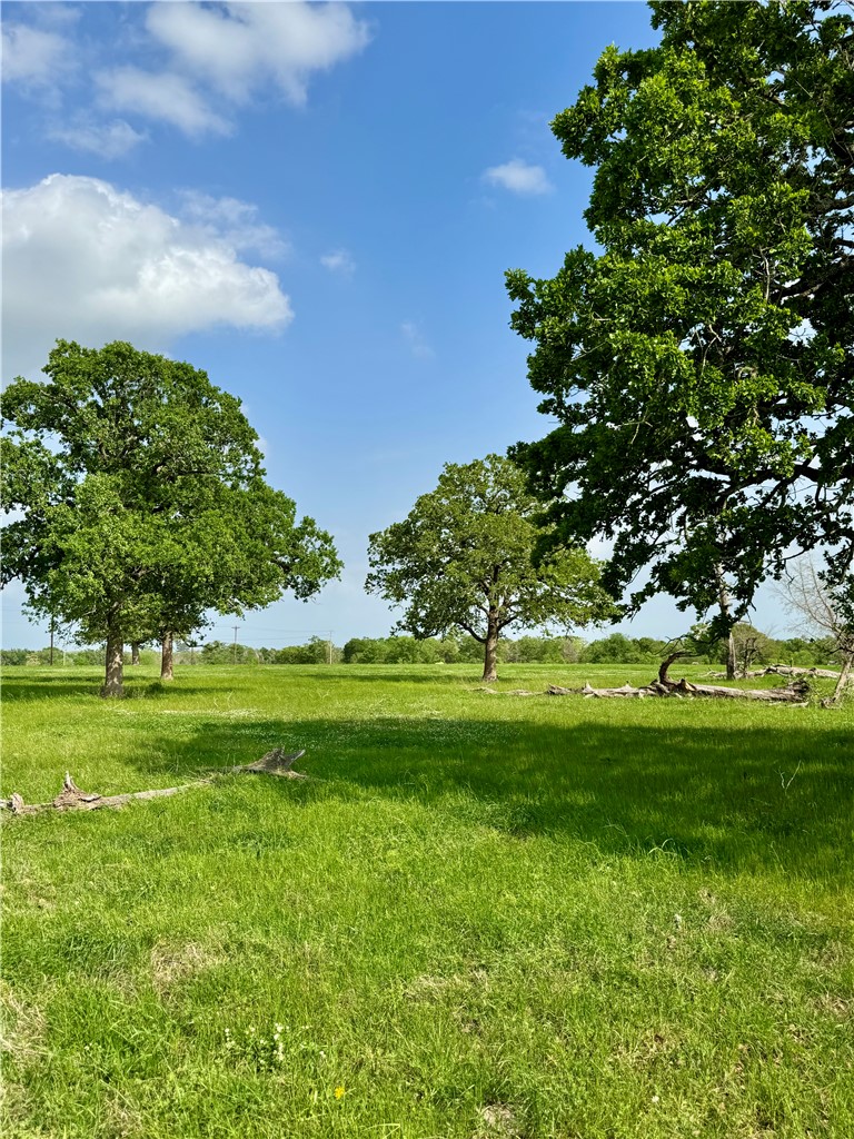 15420 Arhopulos Road College Station, TX 77845 - Photo 38 of 42