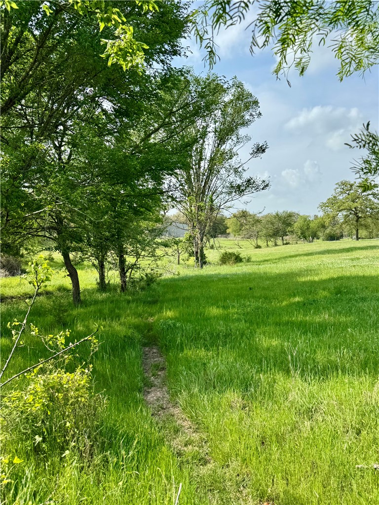 15420 Arhopulos Road College Station, TX 77845 - Photo 39 of 42