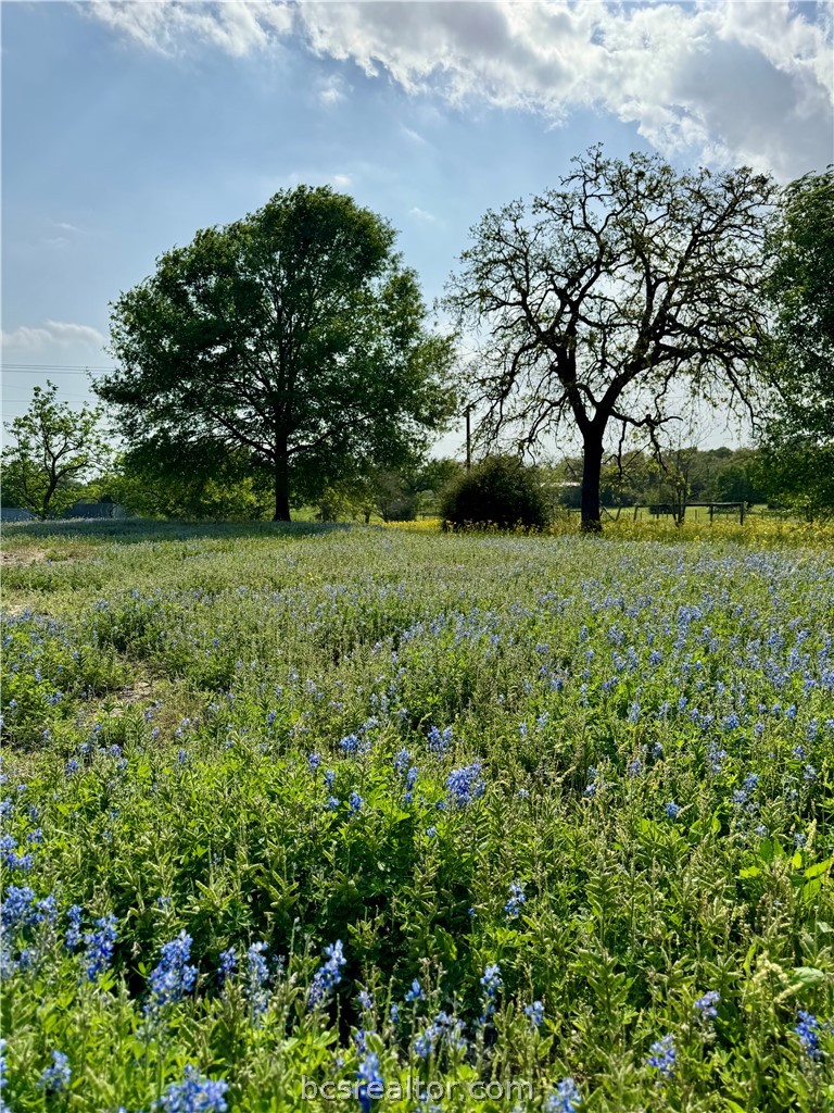 15420 Arhopulos Road College Station, TX 77845 - Photo 4 of 42