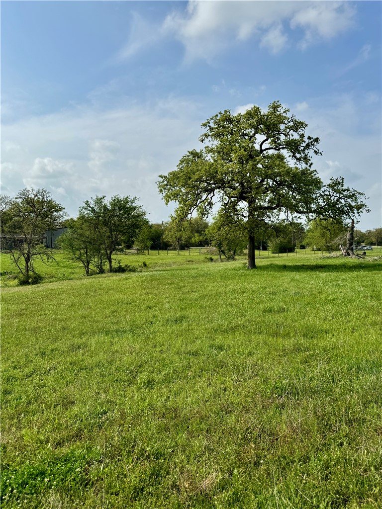 15420 Arhopulos Road College Station, TX 77845 - Photo 41 of 42