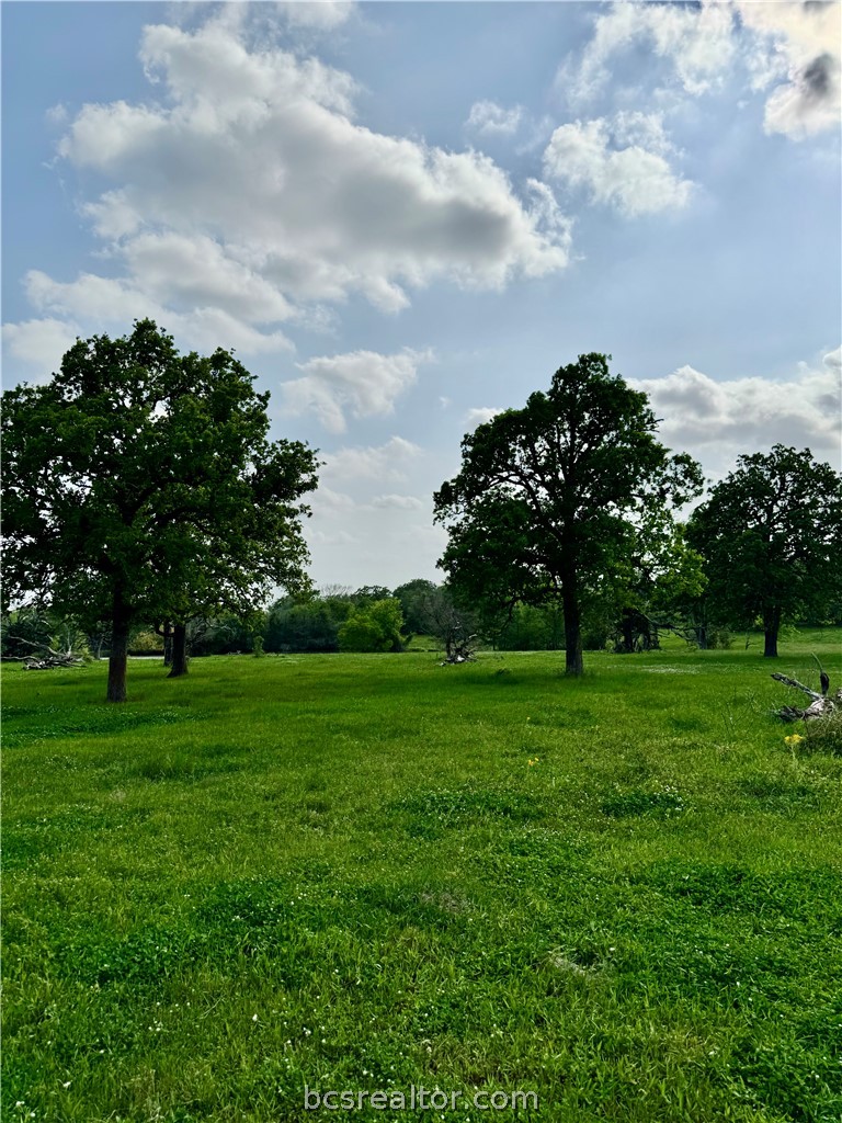 15420 Arhopulos Road College Station, TX 77845 - Photo 6 of 42