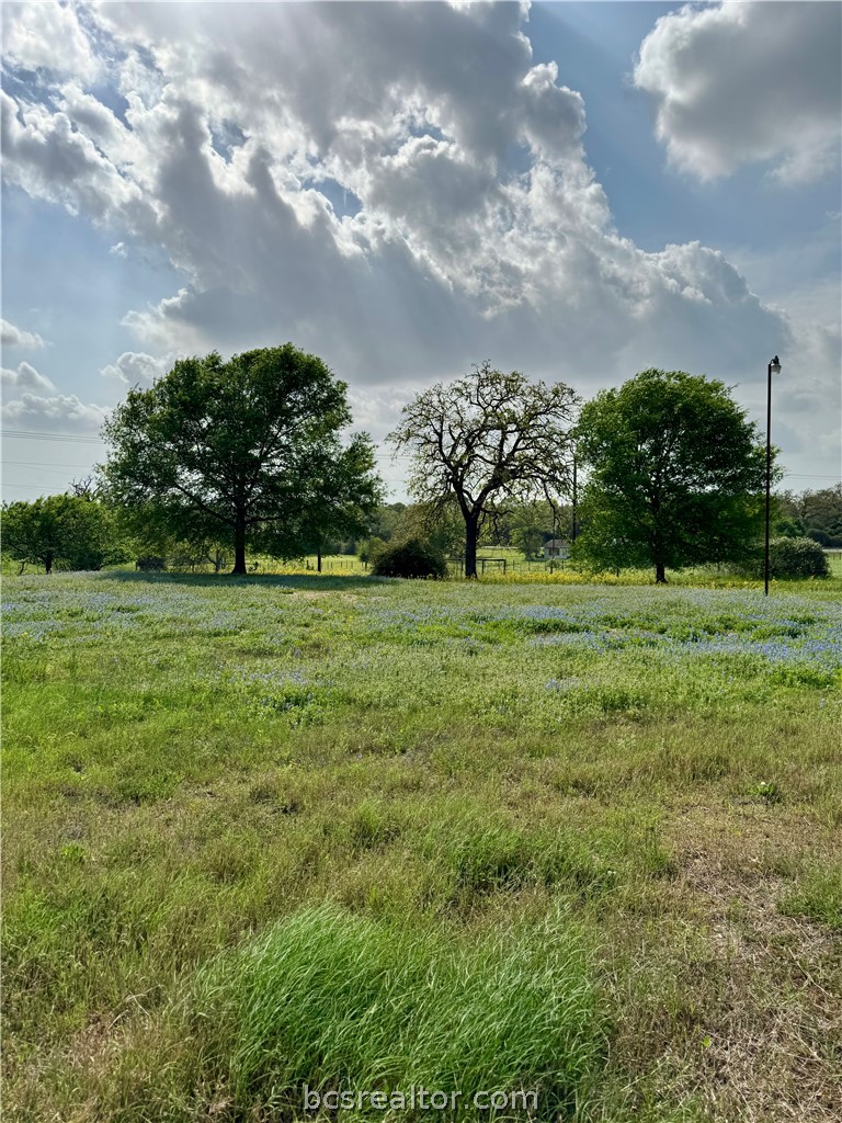 15420 Arhopulos Road College Station, TX 77845 - Photo 7 of 42