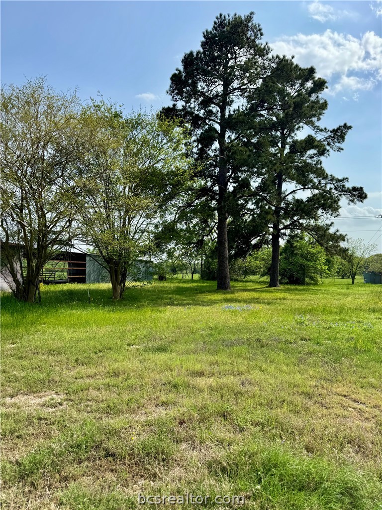 15420 Arhopulos Road College Station, TX 77845 - Photo 8 of 42