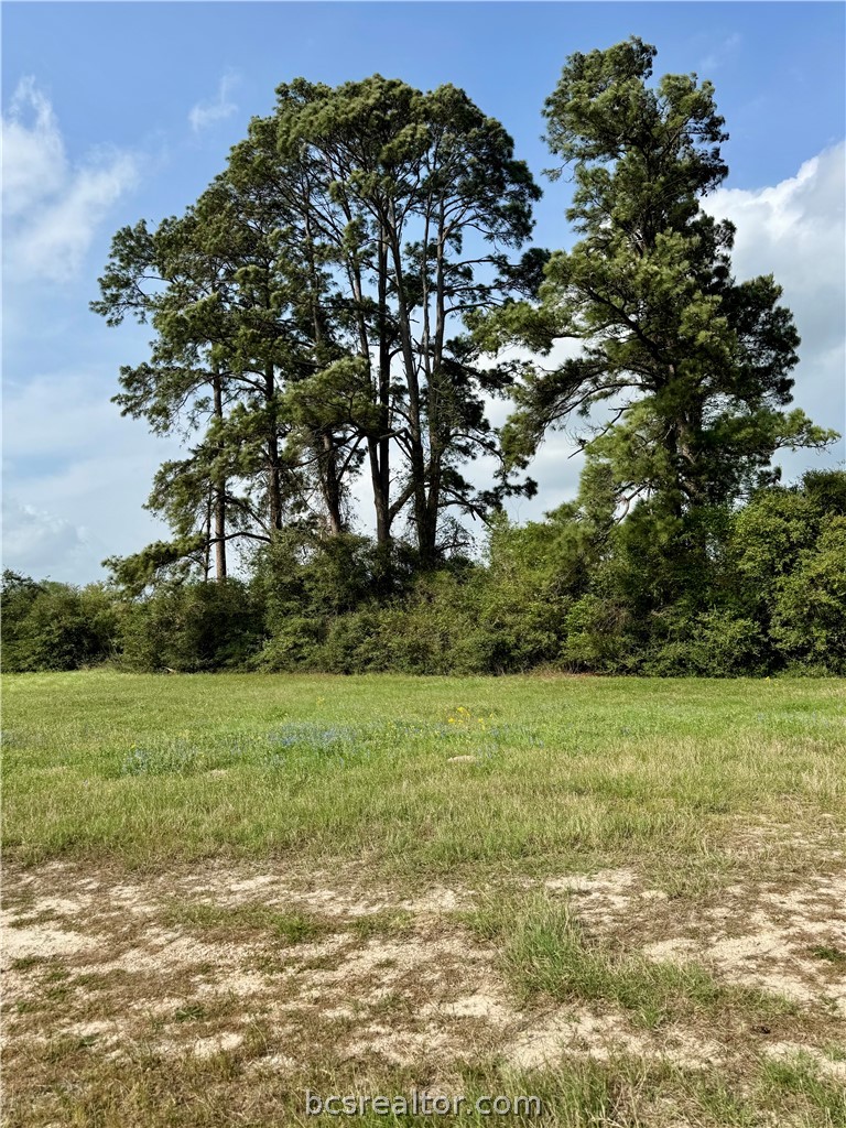 15420 Arhopulos Road College Station, TX 77845 - Photo 9 of 42