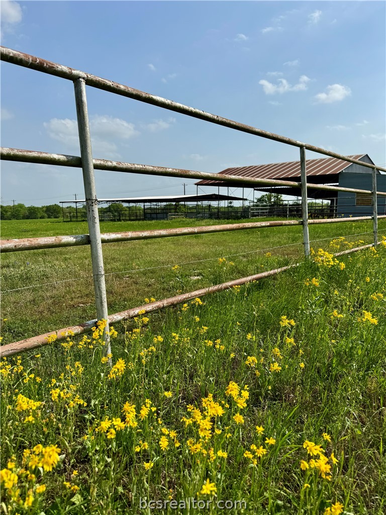 15420 Arhopulos Road College Station, TX 77845 - Photo 10 of 42