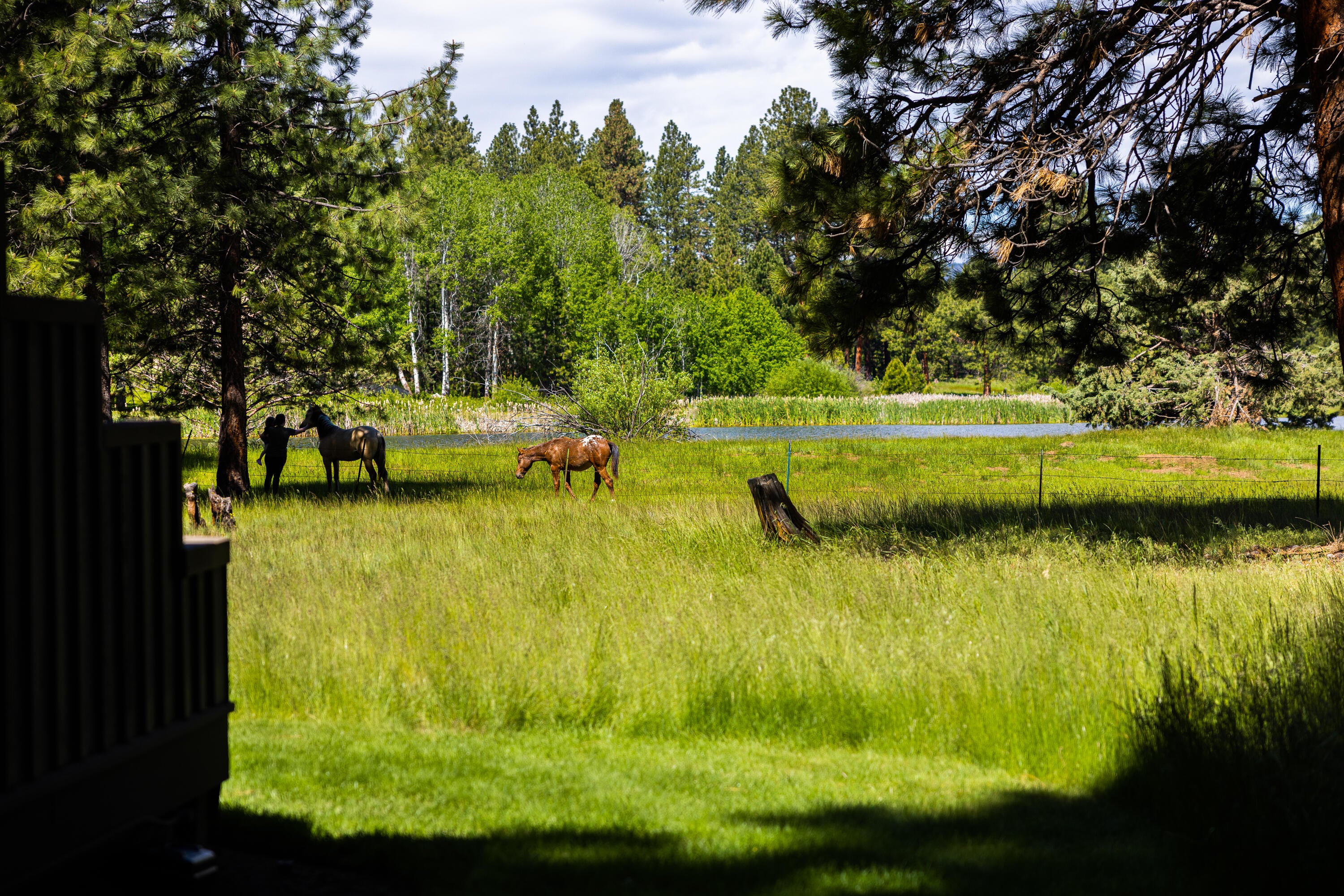 70331 Willow Herb, Unit GM205 Black Butte Ranch, OR 97759 - Photo 61 of 75 Saying hello to the horses