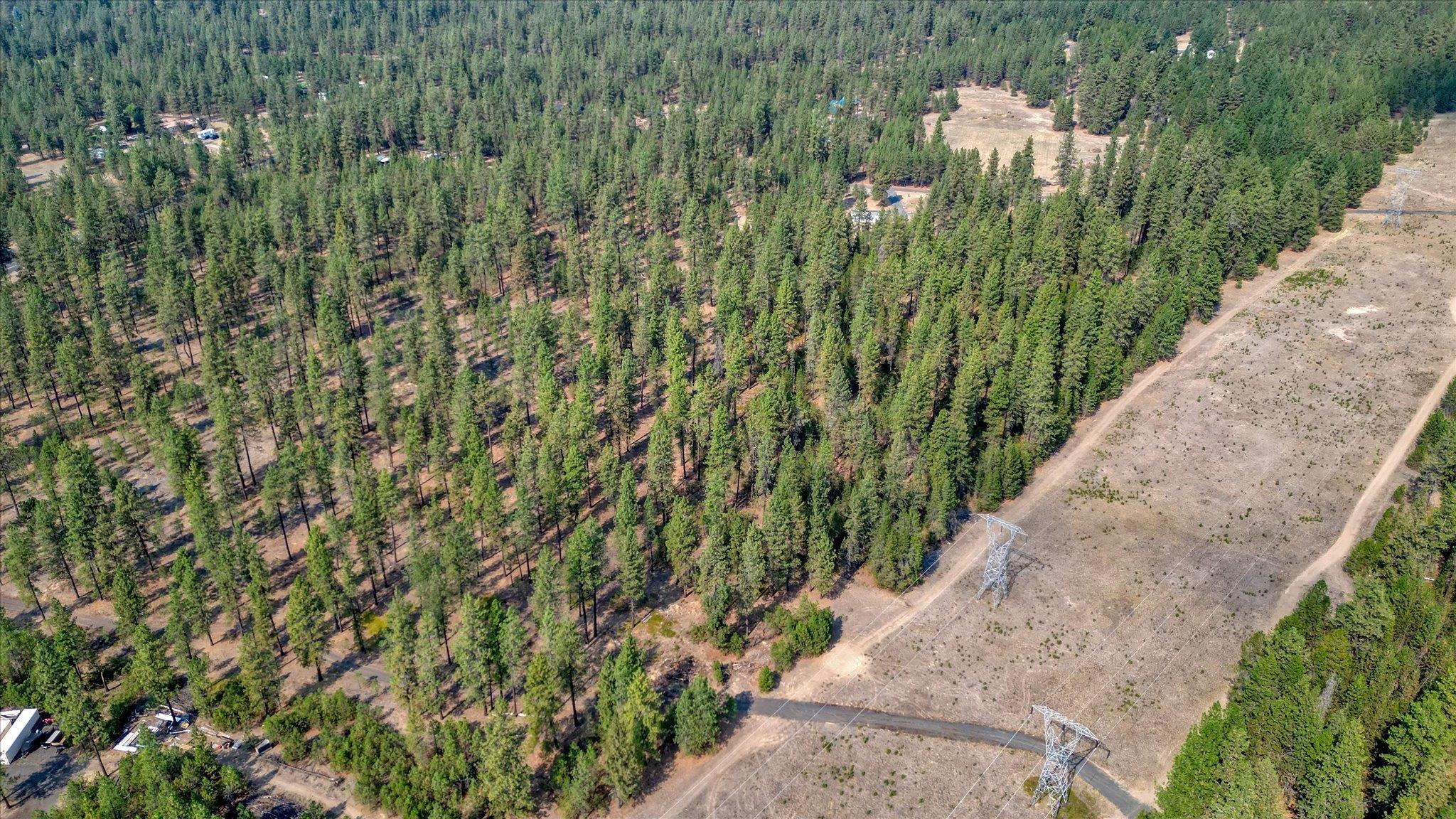 27904 North Hardesty Road Chattaroy, WA 99003 - Photo 30 of 50
