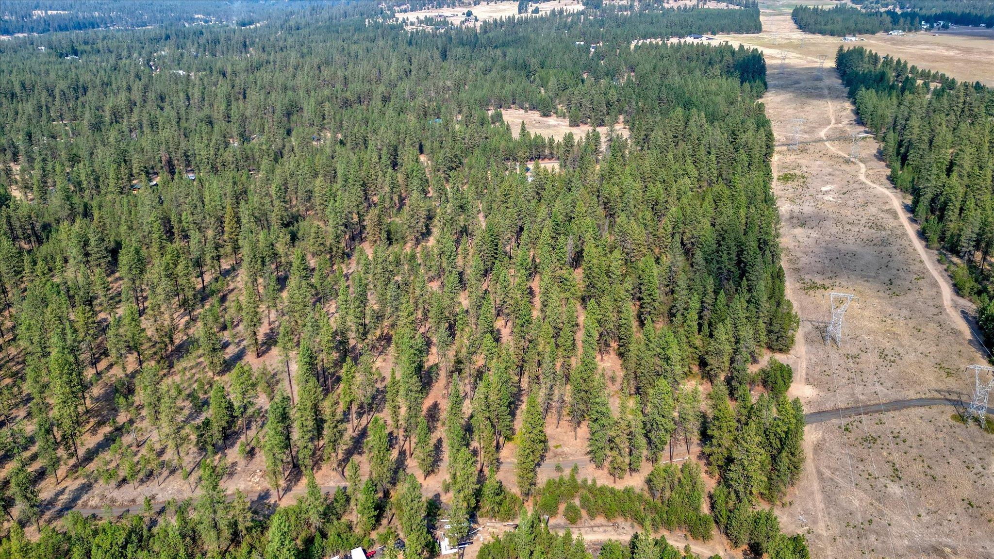 27904 North Hardesty Road Chattaroy, WA 99003 - Photo 37 of 50