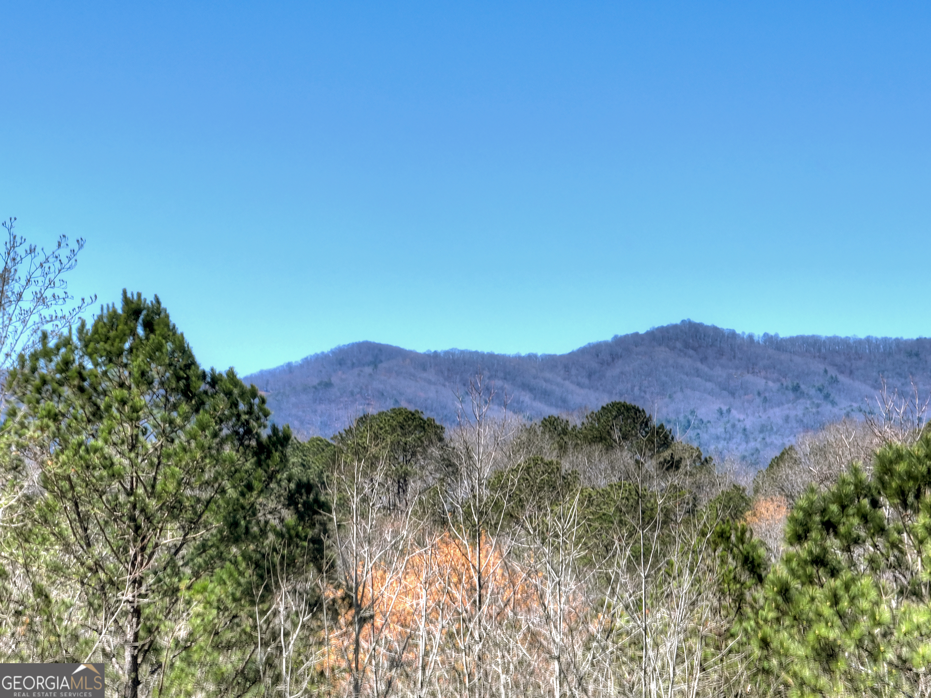 229 Crossroads Church Road Ellijay, GA 30540 - Photo 12 of 83
