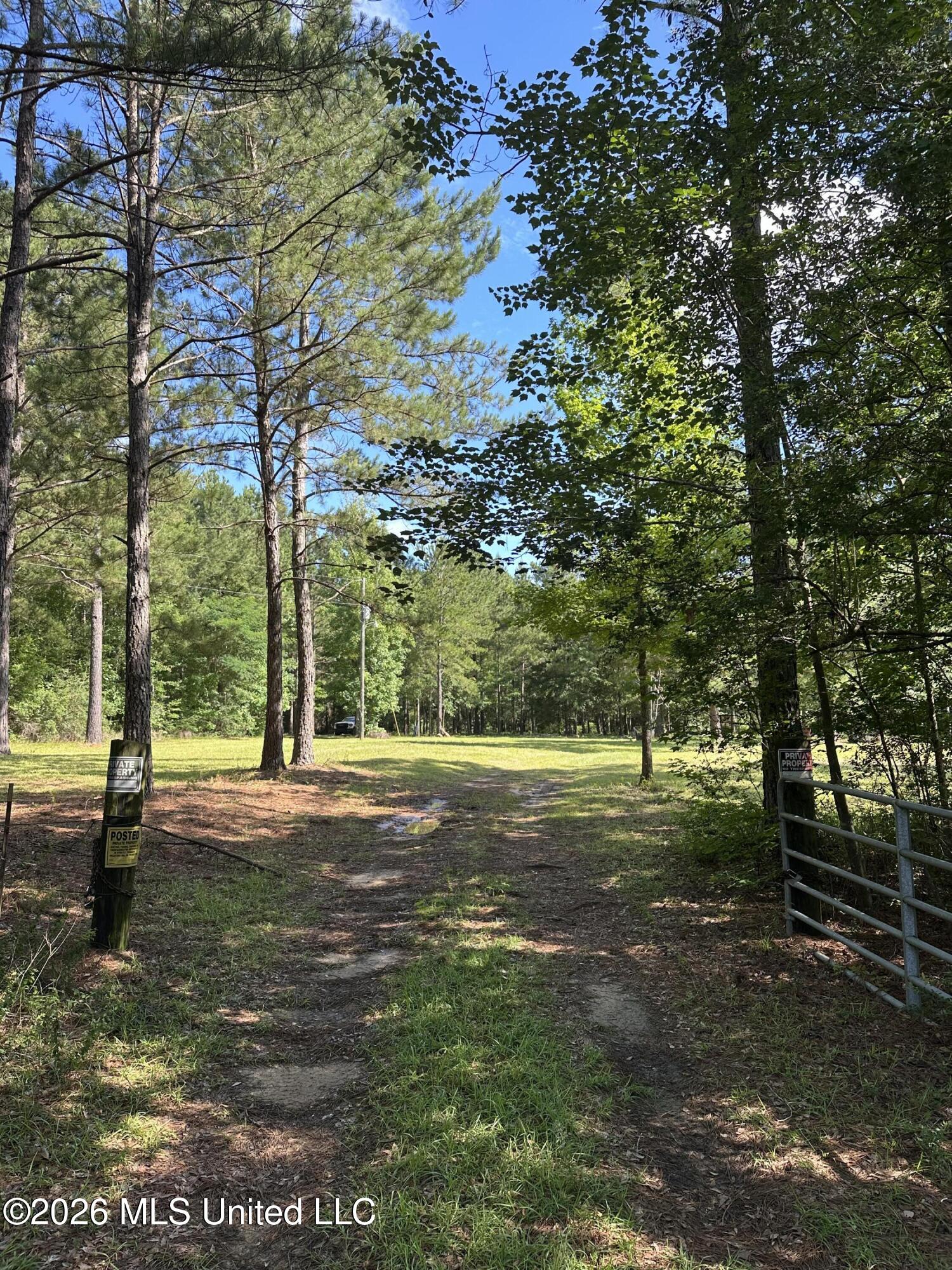 135 Joe Booth Road Taylorsville, MS 39168 - Photo 5 of 22 IMG_5271