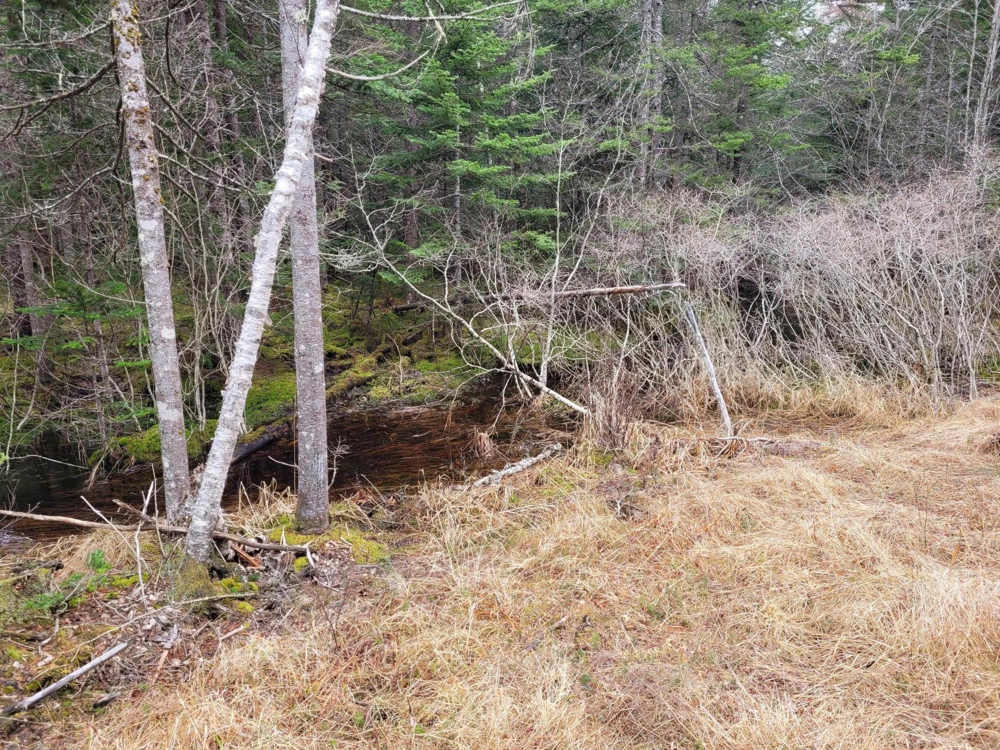 0 Kelley Road Milbridge, ME 04658 - Photo 15 of 28 20230419_103012