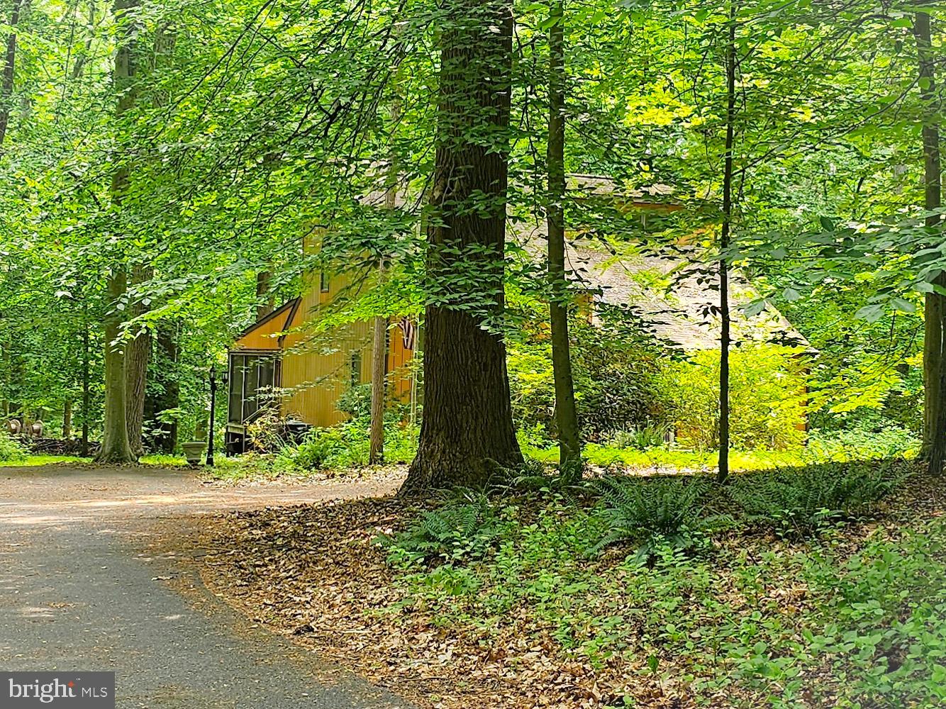 13501 Forest Drive Bowie, MD 20715 - Photo 2 of 13