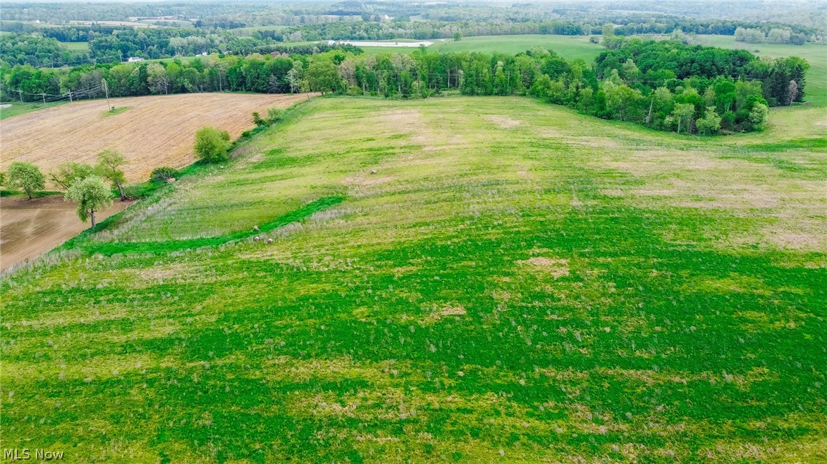 Emerick Road Summitville, OH 43962 - Photo 38 of 47