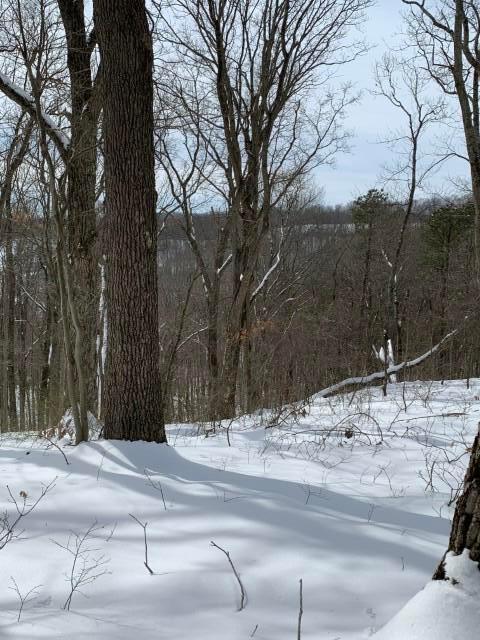 14218 Little Cola Road Rockbridge, OH 43149 - Photo 27 of 31 View_from_the_Top