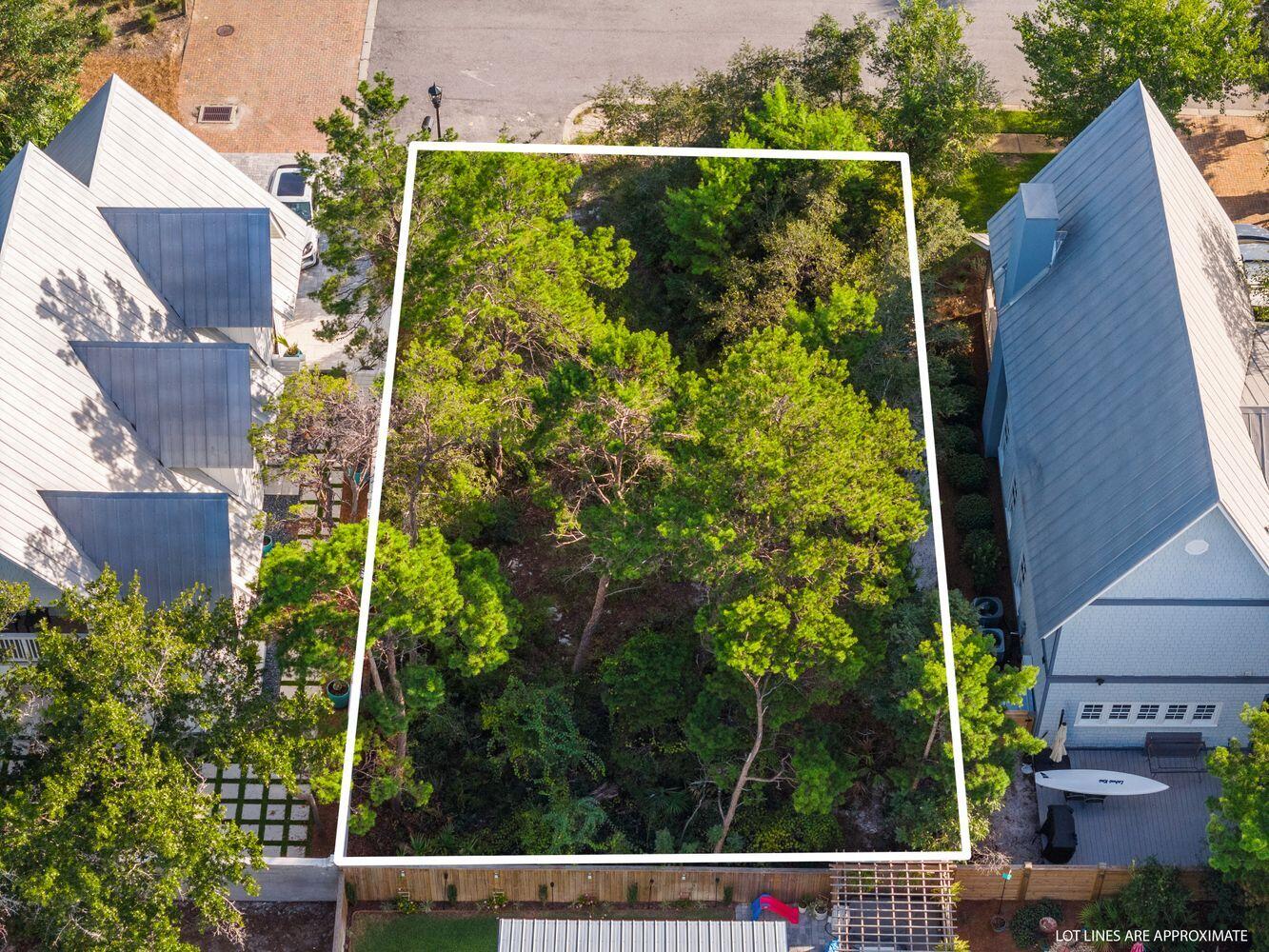 51 East Willow Mist Rd Inlet Beach Inlet Beach, FL 32461 - Photo 6 of 18 a view of a yard in front of house